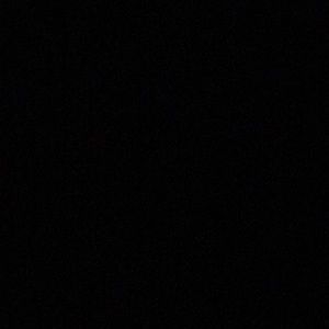 Meet your Posher, Selena